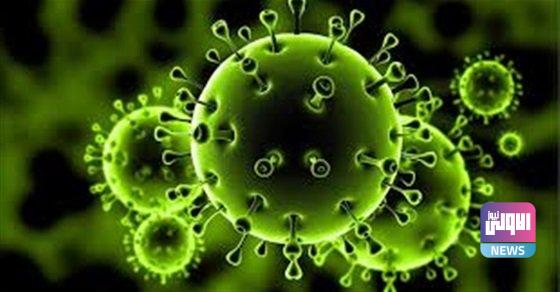 FF7E9F27 699F 41A1 9154 91069C8244FE