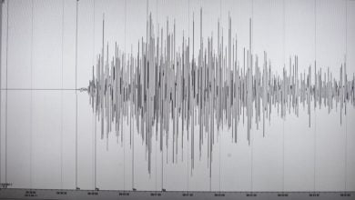 FF8C0733 D581 4393 A4DD 6B0BB8056CF1