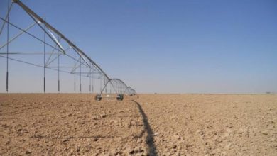 U¡U U¢U¦ U¤U§ 73012021 1 12 2014 S 04