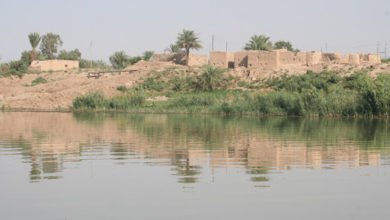 U¡U¨ U¡U U¥U¢ 152412021 unnamed