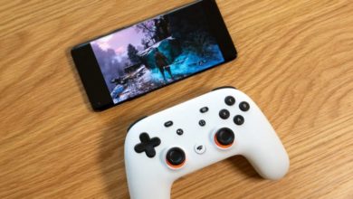 ٢٠٢١٠١٢٦ ٠٣٥٤٠٢