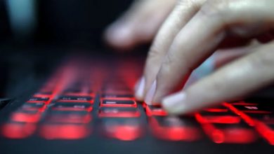 ٢٠٢١٠١٢٦ ١٧٣٣٣١