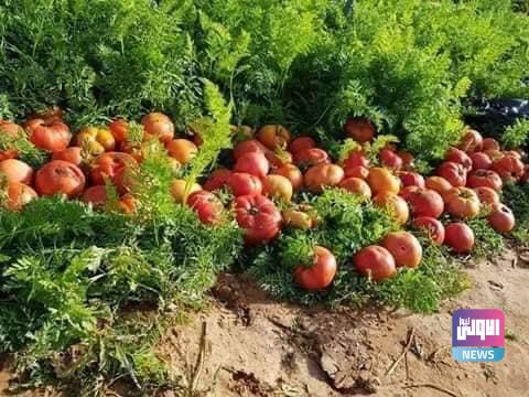 02648DAB 98CD 498B 9E7C 6E284E9E6FC2