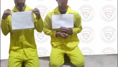 0444527B C9D5 4FCE A54E A4BC49B61913