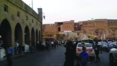 096BB8FE 112F 45C5 B24C 4D8174CC2C7F