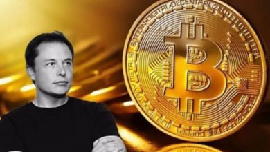 0E59C58E 815F 4BDA 87E8 BFD13FCA3981