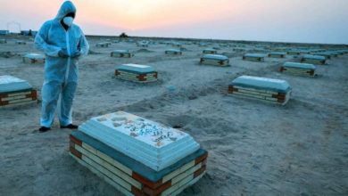 11083EDB B0BE 458C B7E8 D97E7D0F110E