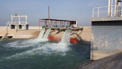 115D3352 079B 4212 9FBD A76A55DAD548