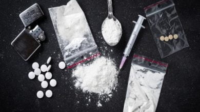 162822021 188122019 424