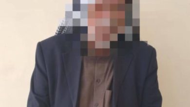 171122021 148864921 3615329548588720 6675071755271387410 o