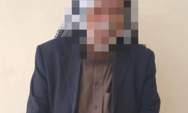 171122021 148864921 3615329548588720 6675071755271387410 o