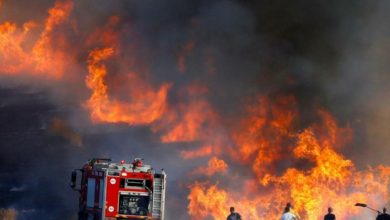 1A3A329F 7585 4F43 A0BB AF5E317E595B