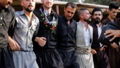 1B0D1BB9 5878 49FF 86FF 0C6912FFBA0F