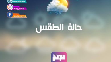 310C2326 4CBA 4FCE BA12 0324A989BA97