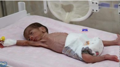 331FF3EC C846 4519 B29B F601A71AC360