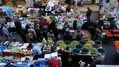 356AA133 8D5A 4A0C BF42 C299AB8C8CBD