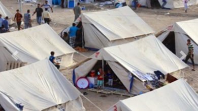 3A834B80 C4FD 4EB8 8ECC 4F6F4744C1BF