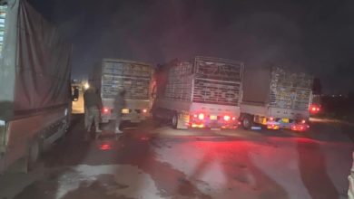 3F9B4CC6 A818 4ACD 8963 1E7FA8F0B757