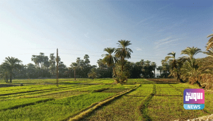 44A849F4 6516 4C64 A294 0F8273B81A00