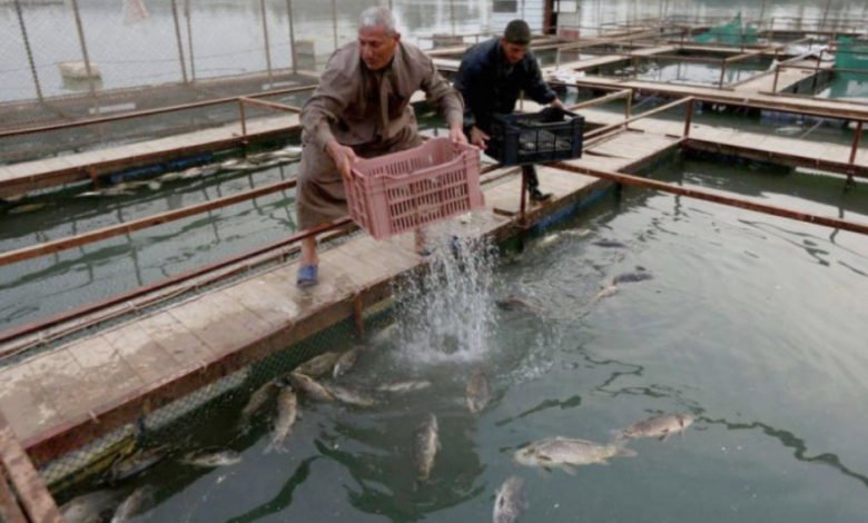 4BA7B8EF F308 4C50 B42A 4DF19A4F33D1