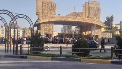 4C837A63 A85F 4CB5 91D3 C5A931453447