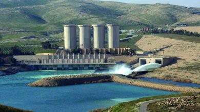 541FA078 87D9 4AB0 B89A 5504D2C16A40