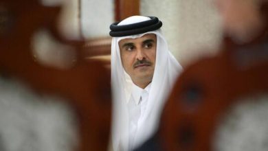 602663964c59b70e481ec651