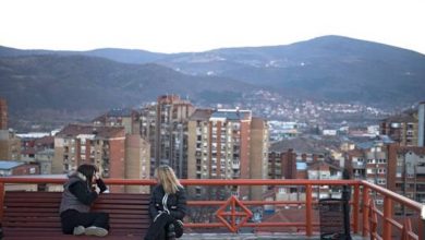 6028e1504c59b70423450397