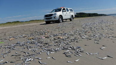 602a20d142360477fa54c4ed