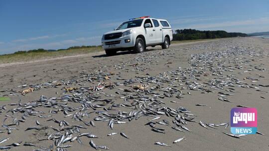 602a20d142360477fa54c4ed