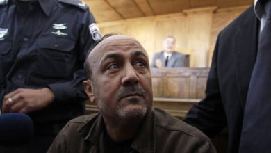 602caab24236047d2819434f