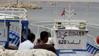 602cf2e4423604350e13c355