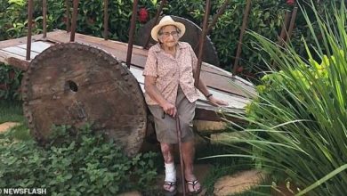 602e17c54236045b845d0a02