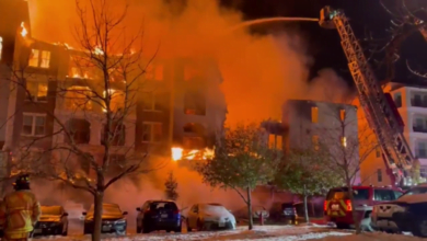 602f4c8542360411d356f0b2