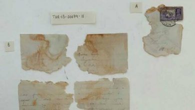 6030c1024c59b7651b6ecda4