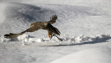 6030d6834c59b75a3227238b