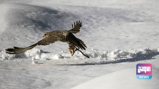 6030d6834c59b75a3227238b