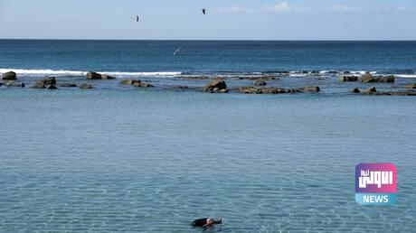 60311ad44c59b74bd577e06e