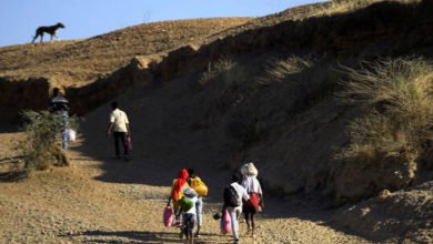 6031fc314c59b7205069090f