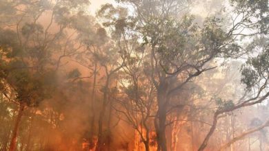 60337d0e4c59b714aa186f21