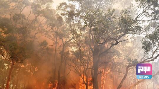 60337d0e4c59b714aa186f21