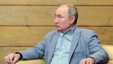 6033aa4c423604550e66e13b