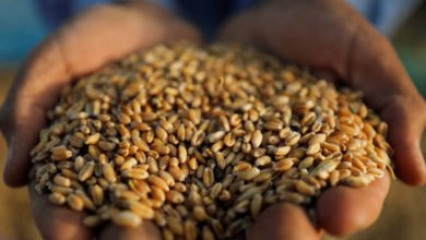 6037725b4c59b779e83dc37e