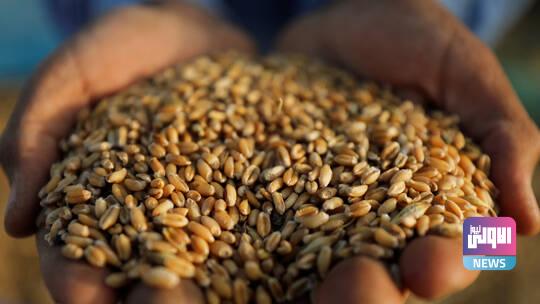 6037725b4c59b779e83dc37e