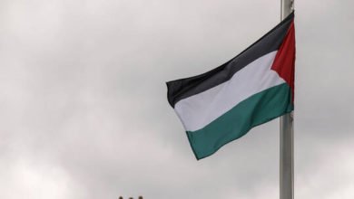 الخارجية الفلسطينية تدعو "الجنائية الدولية" للإعلان عن فتح تحقيق في "الجرائم الإسرائيلية" 4 603777bf4236040922160e0f