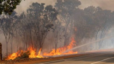 6038e1ac4c59b719144ac3d4