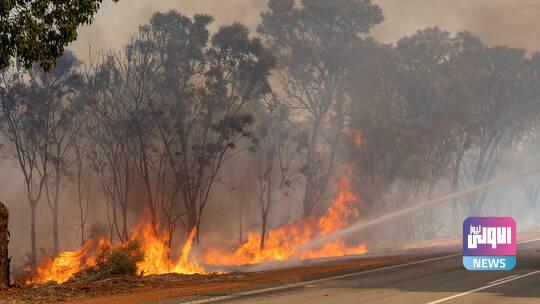 37 حريقا "إجراميا ومتعمدا" التهمت غابات وحقول الجزائر في شهر فبراير 1 6038e1ac4c59b719144ac3d4