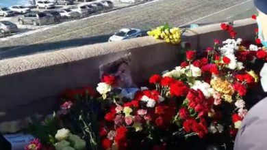 603a25db4c59b77ab601c596 1