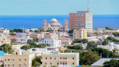 603b81804c59b72451034d3e