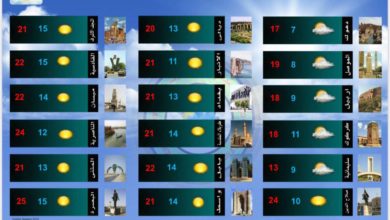 697F7708 D3B4 4C7F A4FE 635B48340C5C